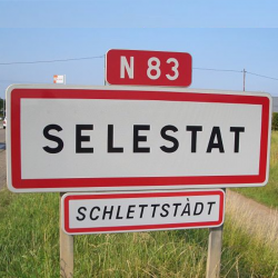 Stages de récupération de Points à Sélestat avec Mon Automobile Club